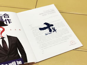 文藝創(chuàng)作與企業(yè)形象的完美融合 成都百鉑文化如何打造卓越的宣傳畫冊
